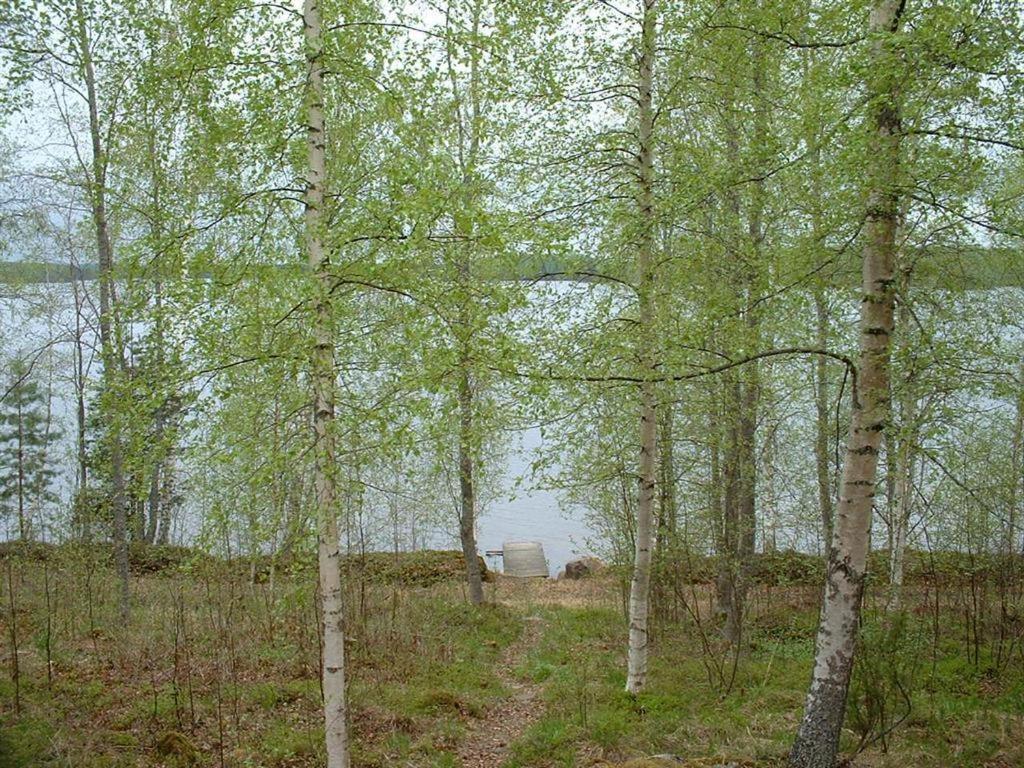 Pitkaeniemen Lomamoekit Villa Joutsa Buitenkant foto
